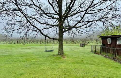 Purple Parrot - Foto 30