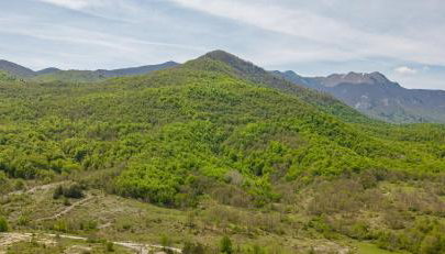 Apartman Orhideja - Foto 4