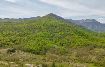 Apartman Orhideja - Foto 4