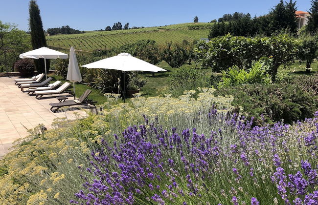 Quinta da Pereira - Foto 31