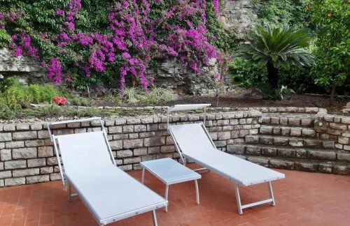 Olivo House 2 - Photo 13