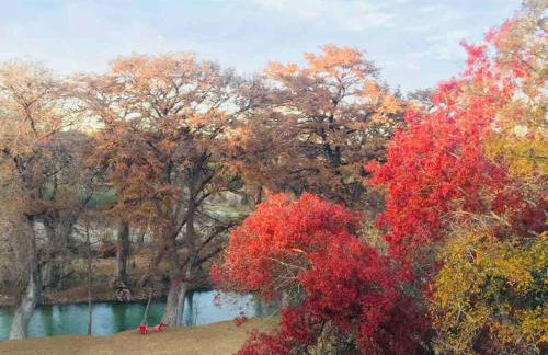 FAMILY RIVER RETREAT! PRIVATE MEDINA RIVER ACCESs! - Foto 15