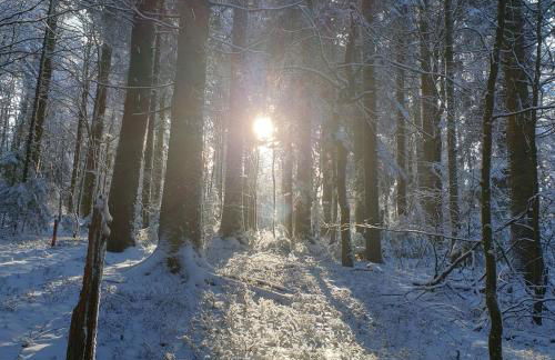 Ferienwohnung "Am Skilift" - Foto 52