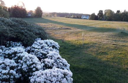 Ferienhof Zollfrank - Foto 28