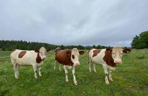 Au Coeur du village de Prémanon - Foto 7