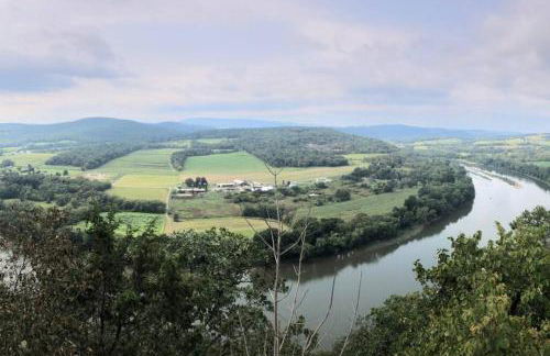 Triple Brick on Main - Photo 22