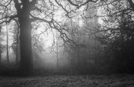 Cedar Cabin Overlooking Bedgebury Forest - Foto 27