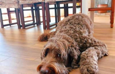 Casa Ortensia - Foto 17