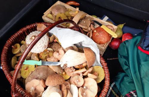 Przystań Mielnów - Foto 43