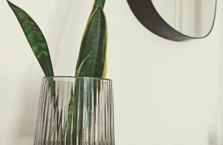 Bajo con jardín privado - Foto 11