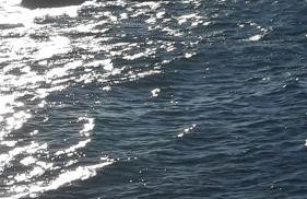 Villa Margherita Portese - Foto 42