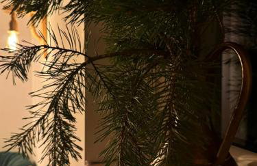 KURNIK - Domek pod lasem - Foto 19