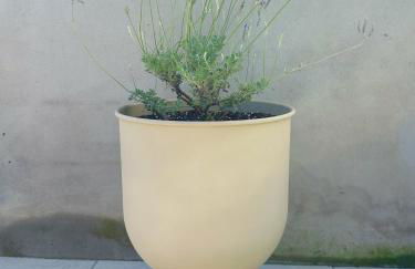 casa L, ocean view pool Villa - Foto 35