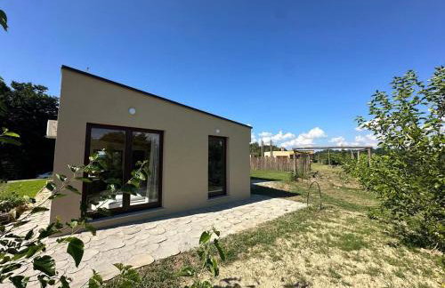 Svetli Raj - Foto 47