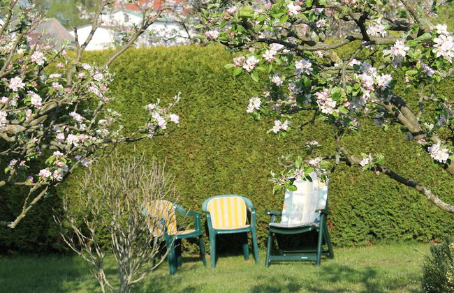 Wohnung mit Grossem Garten an der Ostseekuste - Foto 13