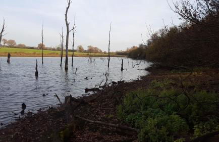 Waterfront family property - Foto 80