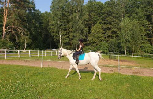 Domek przy Majątku Morgi - Foto 21