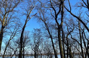 Pałac Zegrzyński - Foto 33