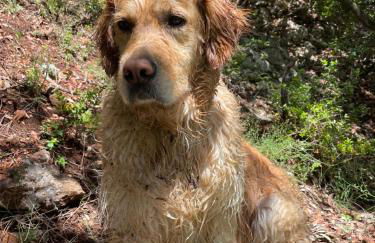Maison les pieds dans l'eau - Foto 12