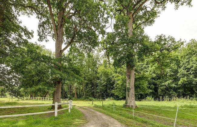 Holiday Home in a Park in Raizeux With Terrace - Foto 2