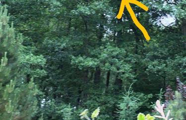 Dom w Sąpach - Foto 60