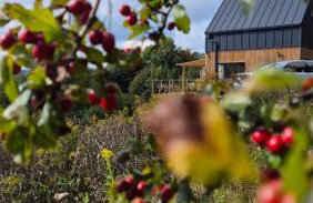 Domek DOMiarki - Foto 20