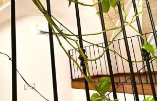 Casa Tramonto - Foto 10