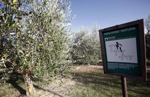 Agriturismo Sanguineto - Foto 122