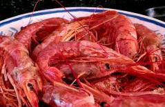 Casa Ladena - Foto 28