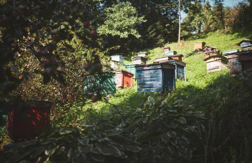 Pasieka - Dom Wypoczynkowy - Foto 31