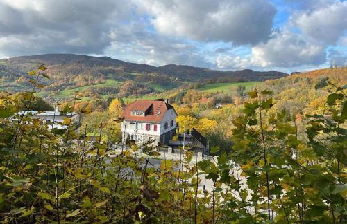 Traumhafter Blick mit Wohnung - Foto 1