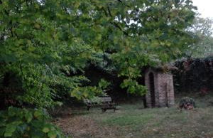 Casa Ramonda - Foto 16