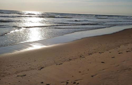 Le Fief des Roses - Foto 13