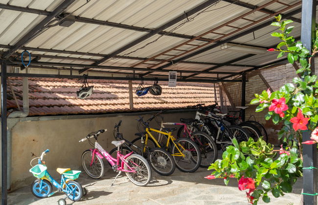 Giallo (PTB152) - Foto 18