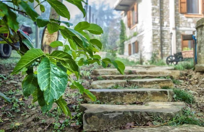 Agriturismo Azienda Agricola Bortolotti - Foto 45