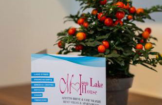 VIA VITTORIO VENETO 468 CHIARI - Foto 39