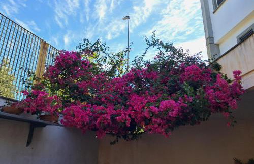 Casa Marten - Foto 4