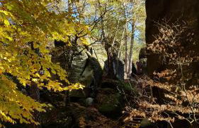 Ferienwohnung "am Zittauer Gebirge" - Foto 20
