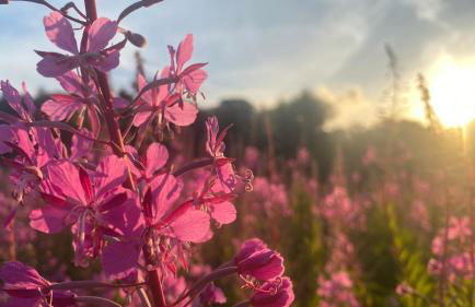 MotoCamp Wales -Camping Pods - Foto 33