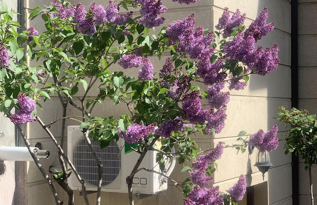 3 room apartment on Baghramyan - Foto 50