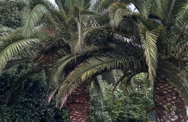 Azores Casa da Mata wellness Spa - Photo 29