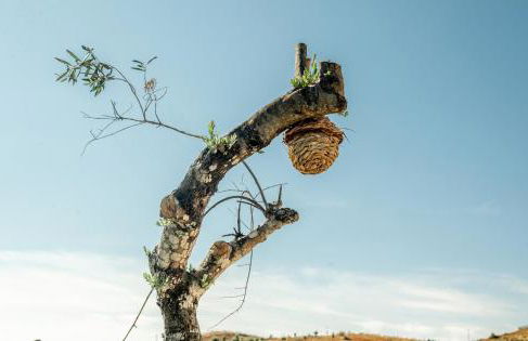 Portugals Infinity Eco Suite Resort - Foto 20