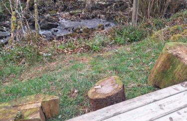 Twin Deer Lodge - Foto 40