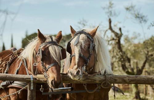 Agriturismo Gli Archi - Foto 12