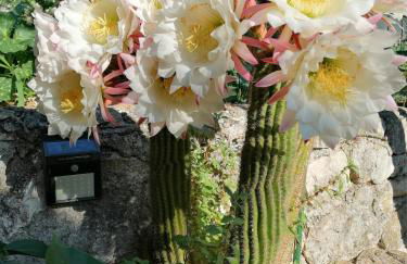 La casa di Antonella - Foto 20