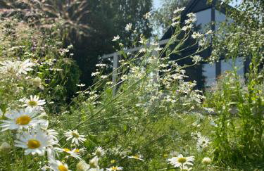 Lazurowy Brzeg - Foto 18