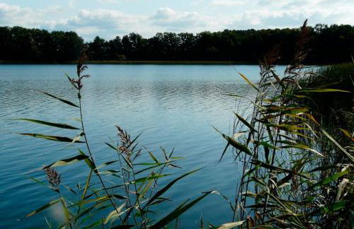 "Villa Frieda" Krakow am See - Foto 10