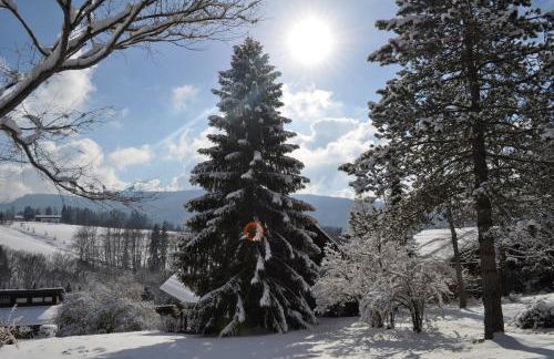 Ferienhaus Chiemgauer Auszeit- Chiemgaukarte inclusive - Foto 43