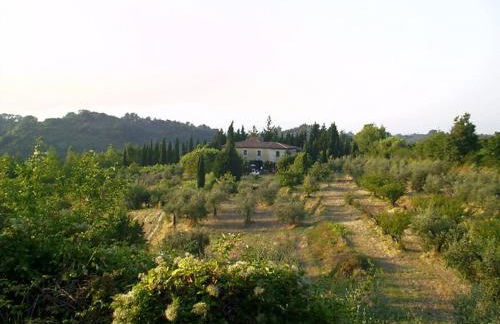 Podere Il Cardellino - Photo 12