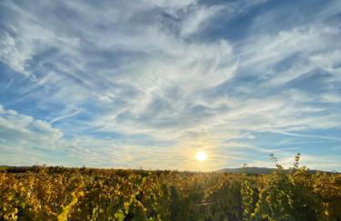 Gîte Aux P'tits Cœurs d'Alsace - Foto 33